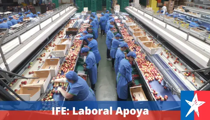 IFE: Laboral Apoya